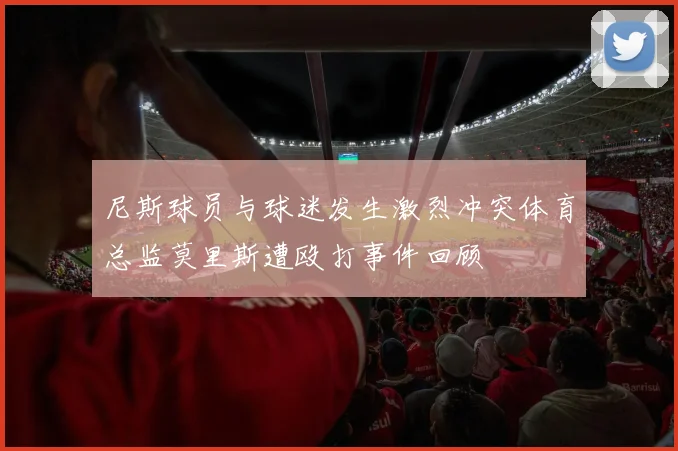 尼斯球员与球迷发生激烈冲突体育总监莫里斯遭殴打事件回顾