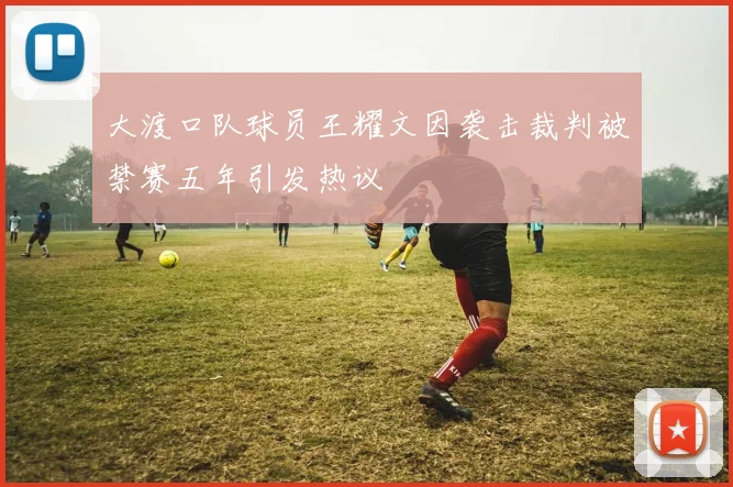 大渡口队球员王耀文因袭击裁判被禁赛五年引发热议